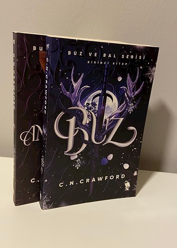 Buz ve Bal Serisi: Buz - C.N. Crawford