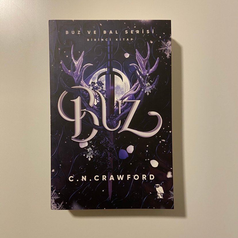 Buz ve Bal Serisi: Buz - C.N. Crawford - Görsel 2