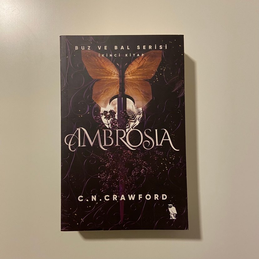 Buz ve Bal Serisi: Buz - C.N. Crawford - Görsel 3