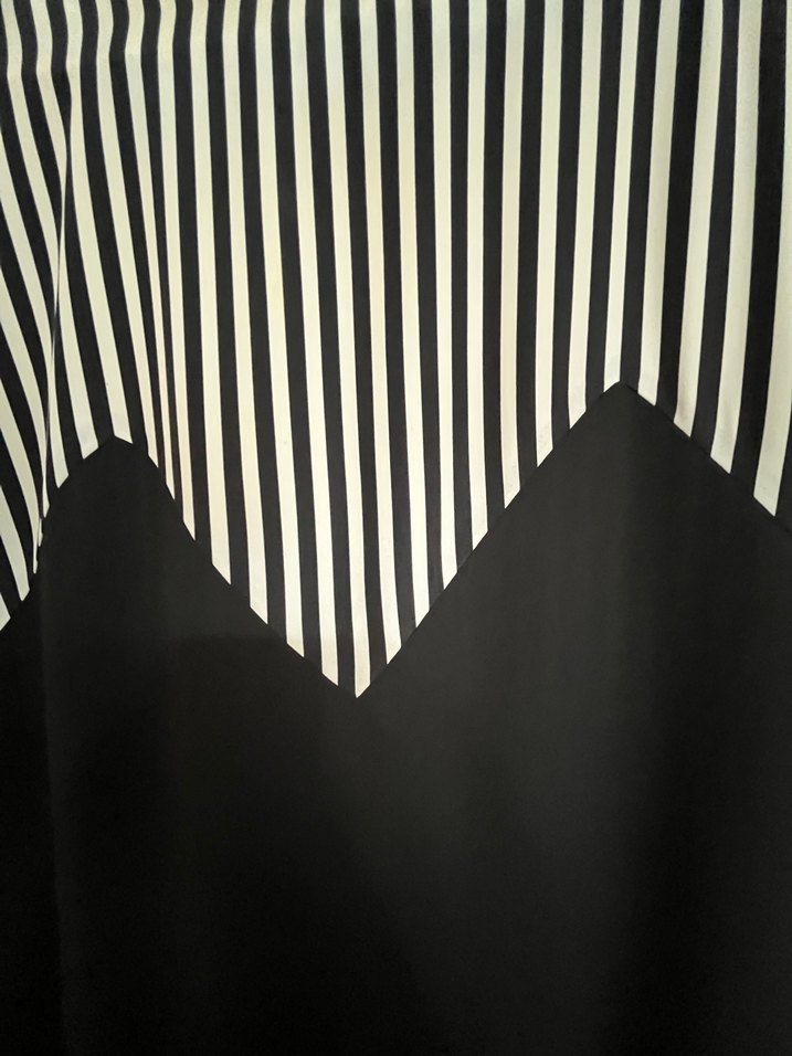 Twist Siyah Beyaz Çizgili Elbise - Görsel 2