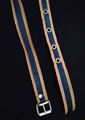 Mavi Kadın Kemer - Görsel 3