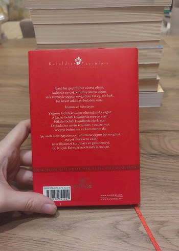 Küçük Kırmızı Aşk Kitabı - Nil Gün - Görsel 2