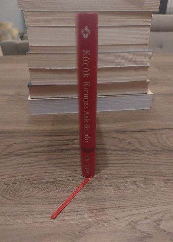 Küçük Kırmızı Aşk Kitabı - Nil Gün - Görsel 3