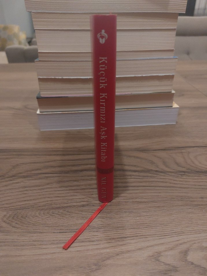 Küçük Kırmızı Aşk Kitabı - Nil Gün - Görsel 3