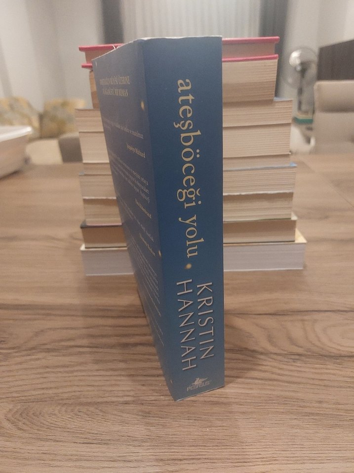 Ateşböceği Yolu - Kristin Hannah - Görsel 3