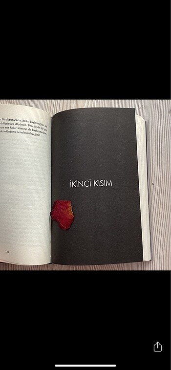 Beden Renk Karanlık Sular - Paula Hawkins