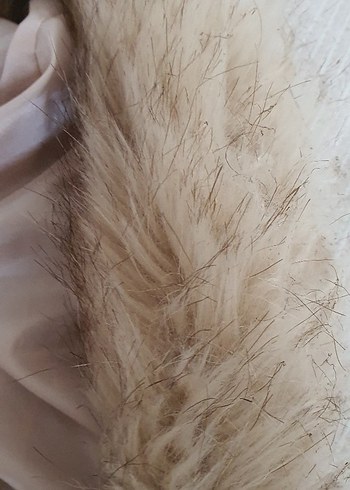 i Bej Uzun Kadın Kışlık Mont - Görsel 3