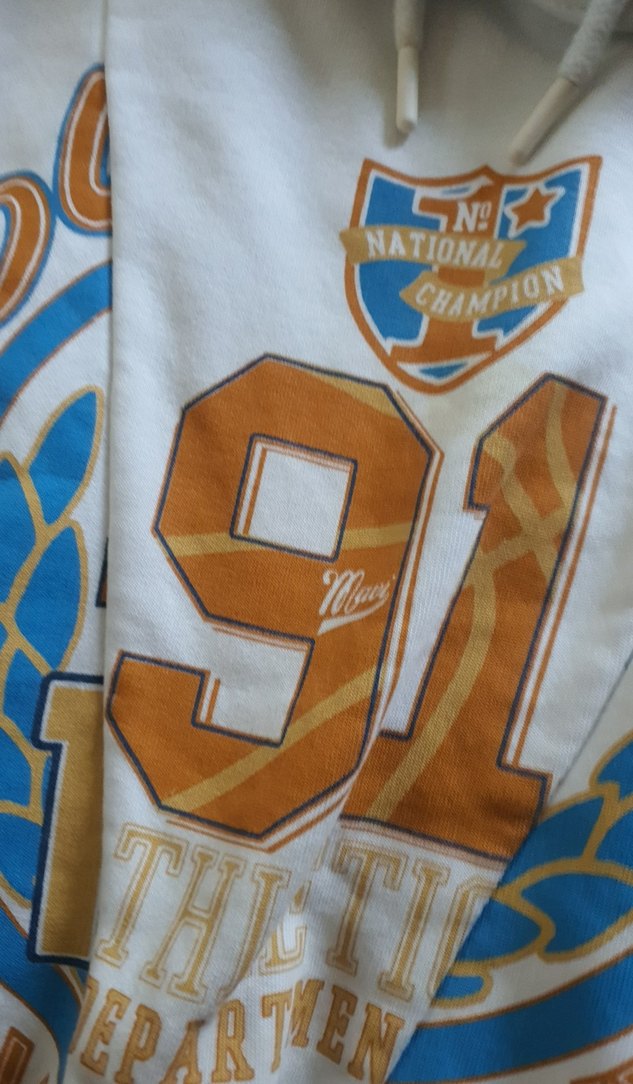 Kadın Kapüşonlu Baskılı Spor Sweatshirt - Görsel 3