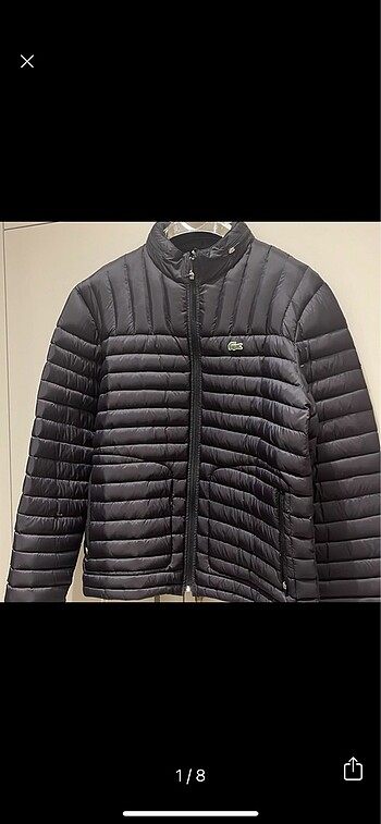 Lacoste erkek şişme mont