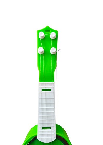 Kivi Desenli Müzik Oyuncağı - Görsel 2