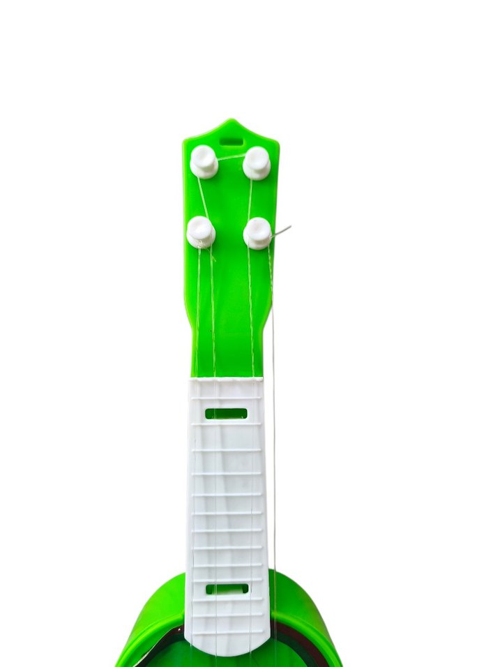 Kivi Desenli Müzik Oyuncağı - Görsel 2