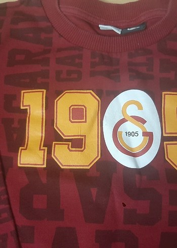 Bordo Baskılı Erkek Sweatshirt - Görsel 3