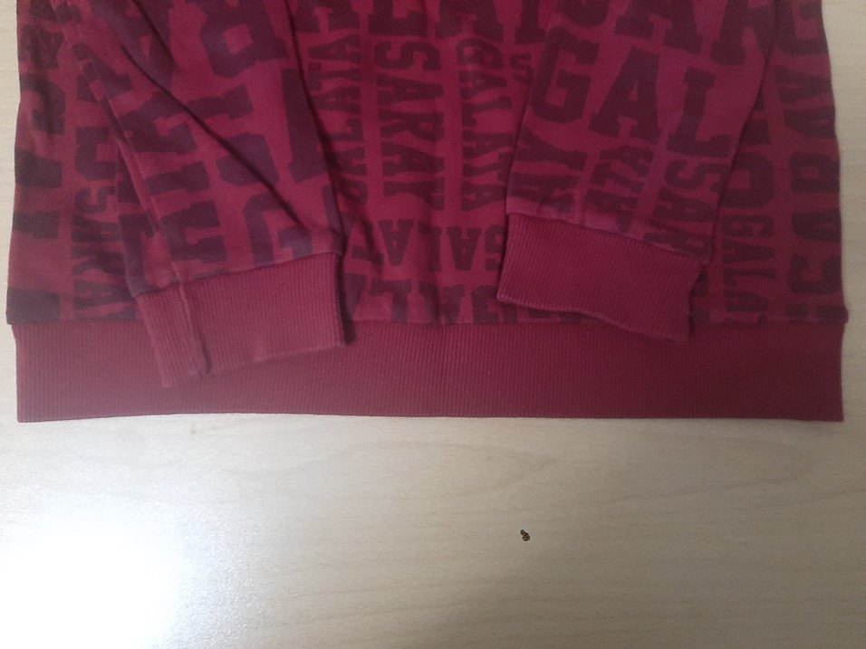 Bordo Baskılı Erkek Sweatshirt - Görsel 4