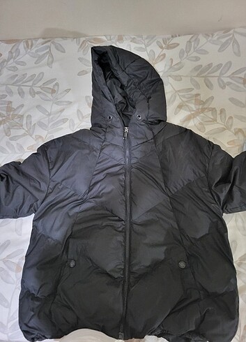 Lee Cooper Siyah mont