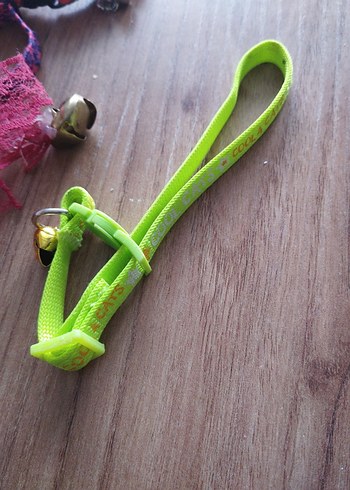 Renkli Kedi Tasması Seti - Görsel 5