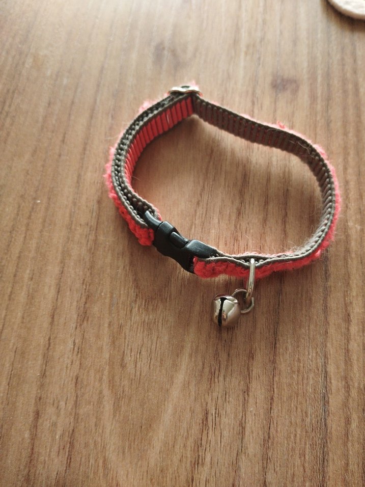 Renkli Kedi Tasması Seti - Görsel 3