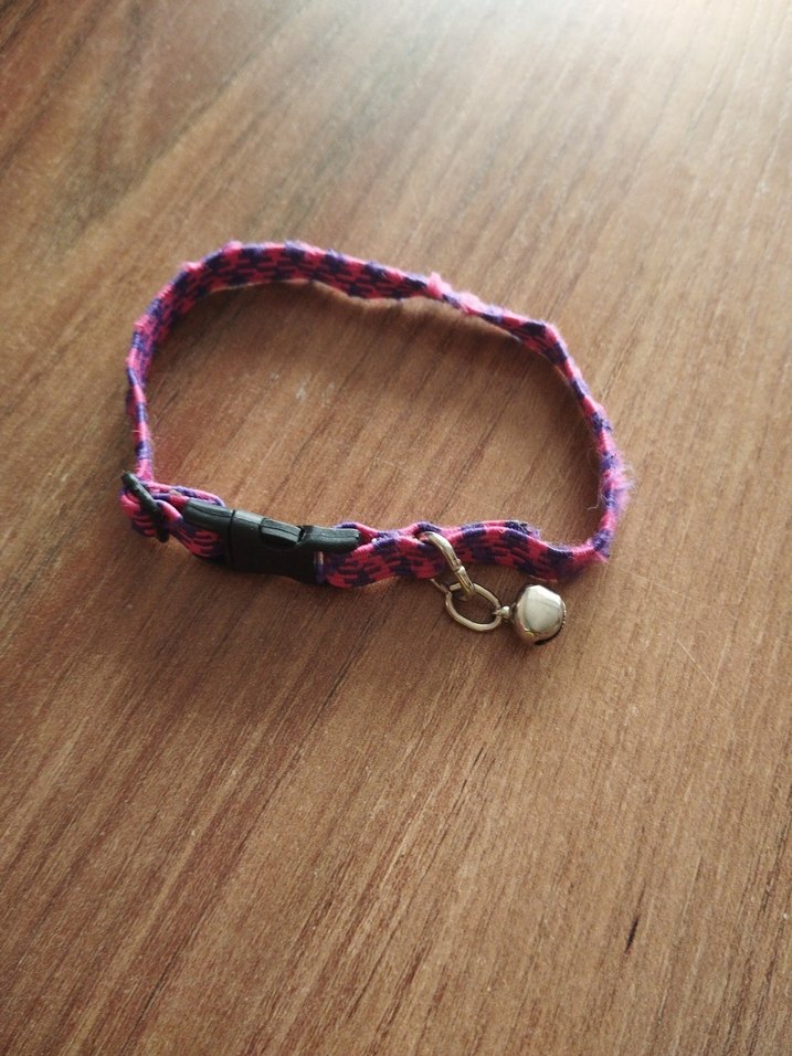 Renkli Kedi Tasması Seti - Görsel 2