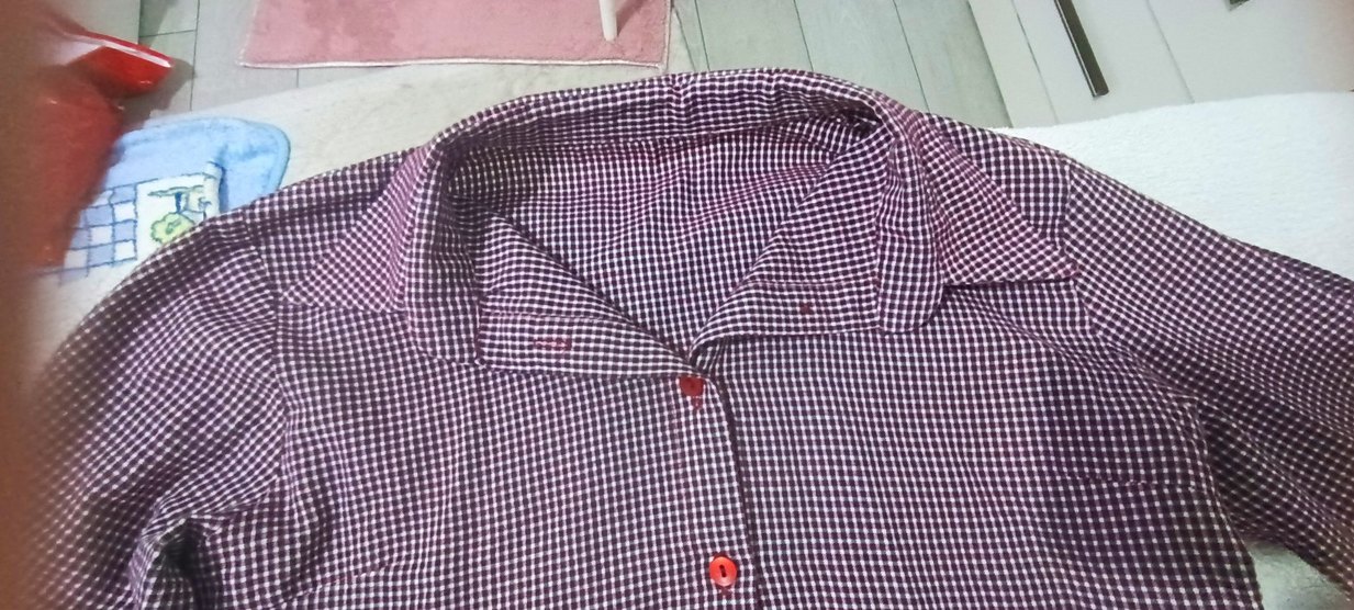 Bordo Ekose Kadın Gömlek - Görsel 2