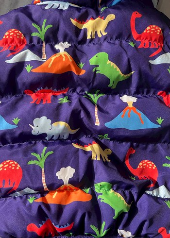 Renkli Desenli Kapüşonlu Erkek Çocuk Mont - Görsel 5