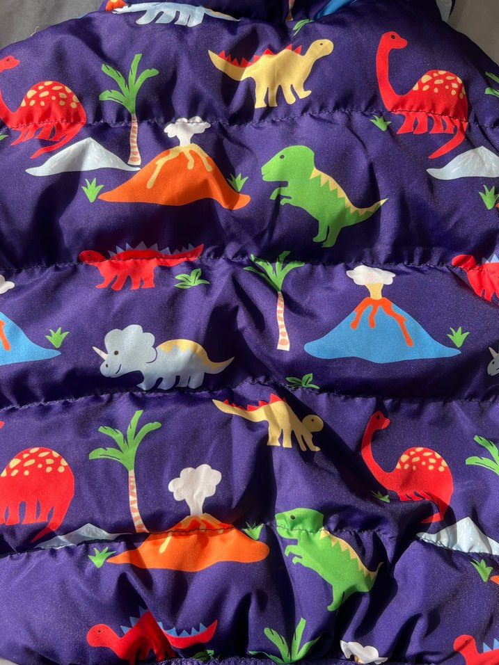 Renkli Desenli Kapüşonlu Erkek Çocuk Mont - Görsel 5