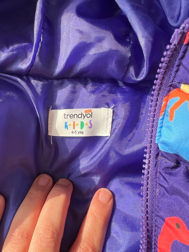 Renkli Dinozor Desenli Kapüşonlu Erkek Çocuk Mont - Görsel 3