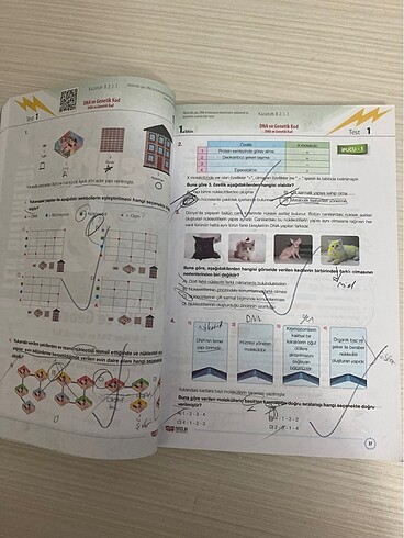  Beden fen test kitabı