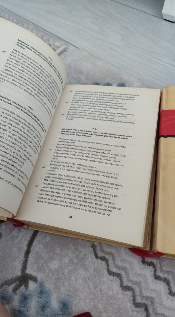 Mevlana Celaleddin Rumi Mesnevi Cilt 1-2 Set - Görsel 2