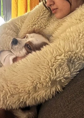 Sarı Midi Boy Kadın Peluş Ceket mango - Görsel 2