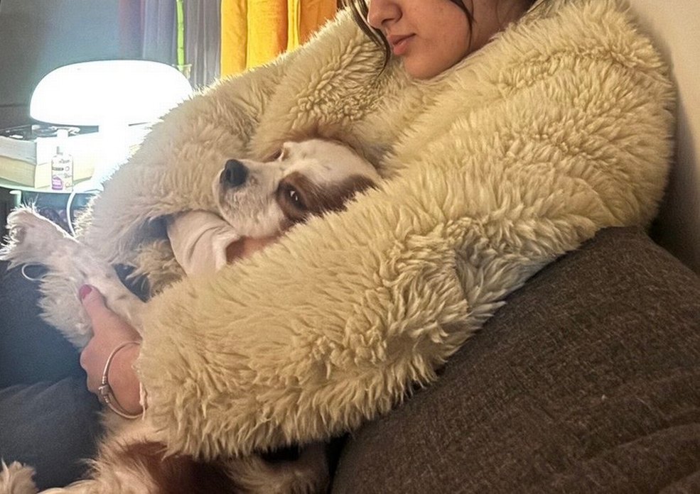 Sarı Midi Boy Kadın Peluş Ceket mango - Görsel 2