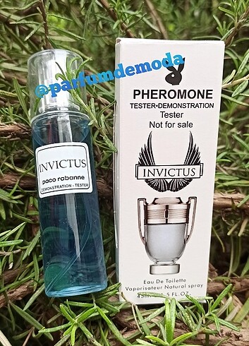 İnvictus