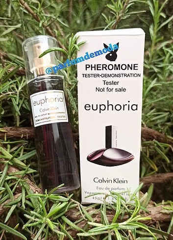 Euphorıa