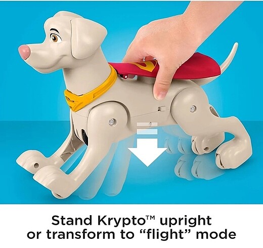 Beden Renk Süper köpek krypto