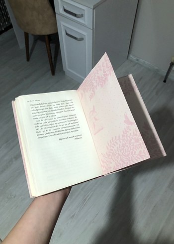 Pollyanna - Eleanor H. Porter - Görsel 5