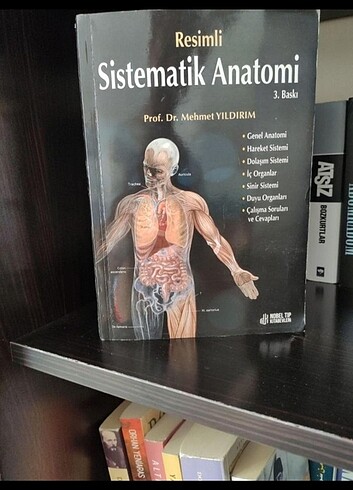 Sistematik Anatomi Mehmet Yıldırım 