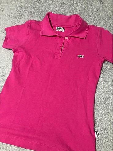 lacoste tshirt