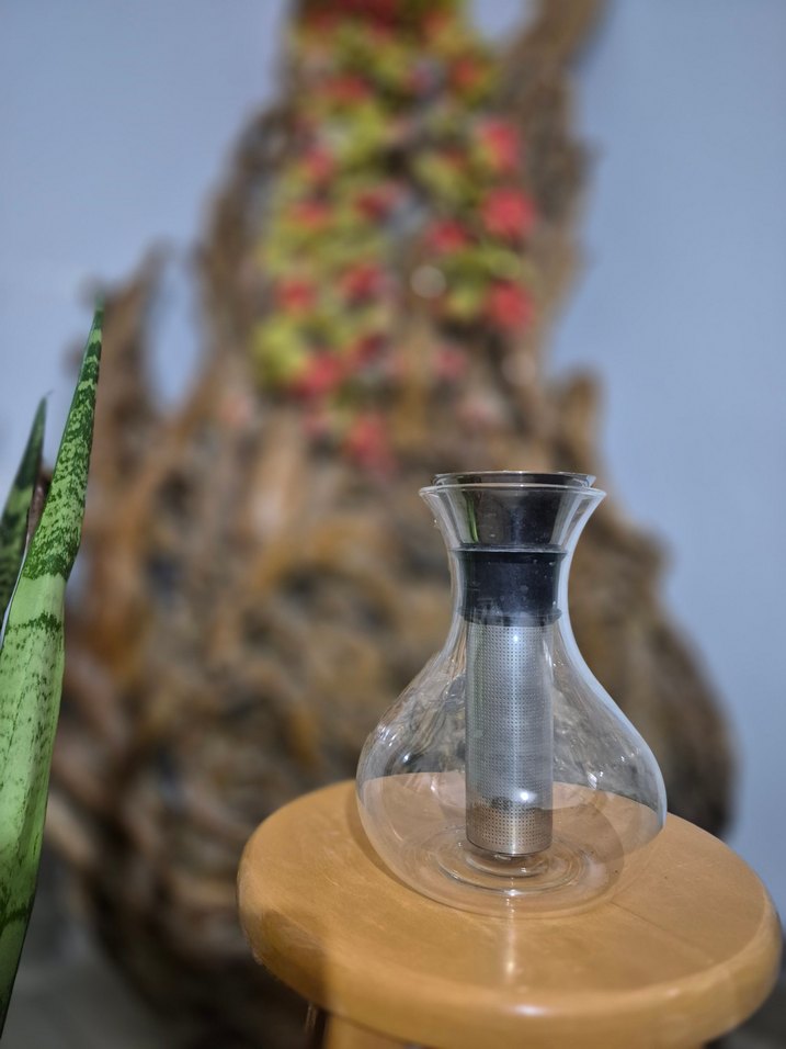 EVA SOLO TEA MAKER FRENCH PRESS - Görsel 3