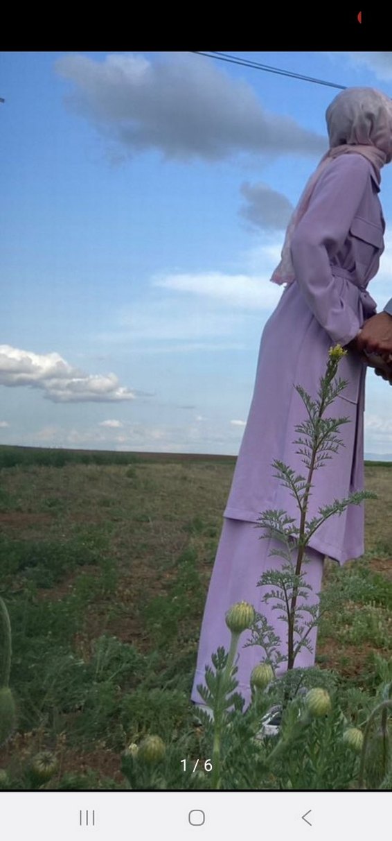 Bej Uzun Kadın Takım Kadriye Baştürk - Görsel 3