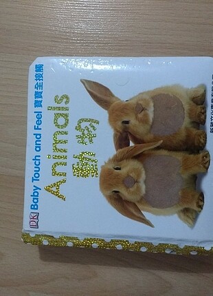 Bebek eğitici kitap