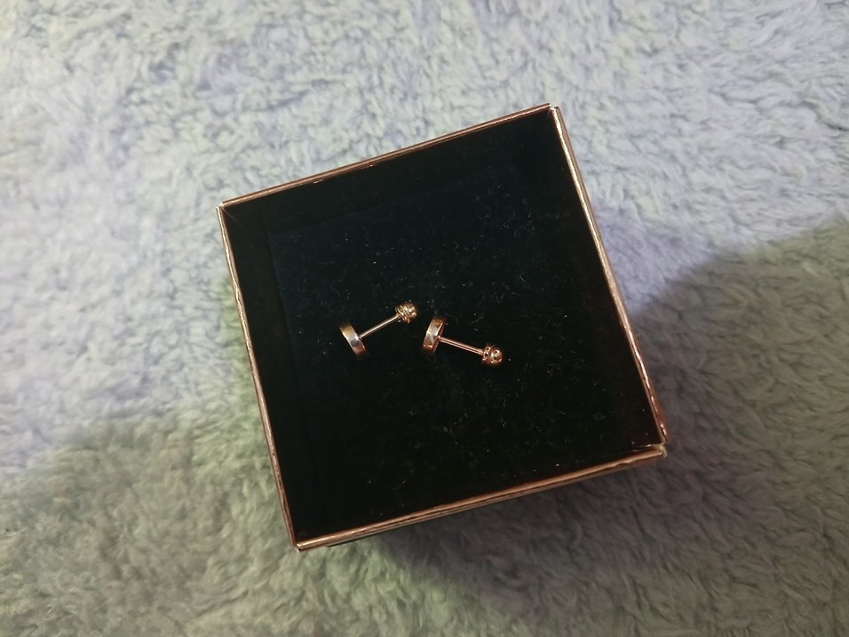 Altın Renk Mini Düğme Küpe - Görsel 2