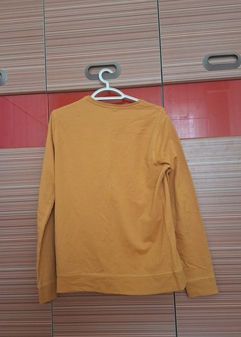 s Beden altın Renk Bej erkekSüet Sweatshirt Uzun Kollu