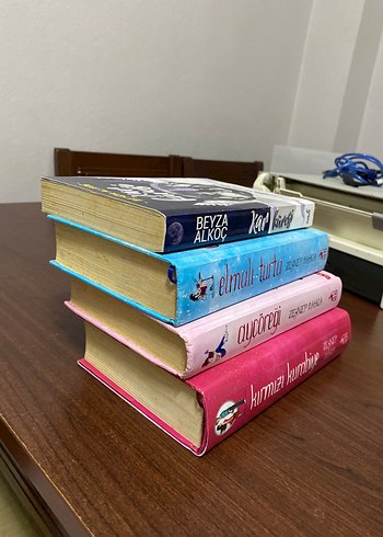 Beden ayçöreği elmalı turta kırmızı kurabiye ciltli, kar küresi