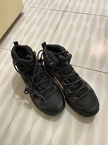 Salomon bot