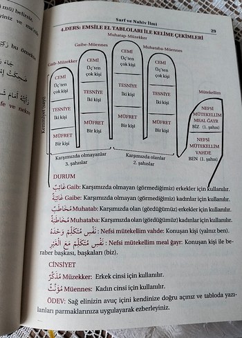 Beden Renk Sarf ve Nahiv Kitabı - Gülistan Coşkun 5. yeni baskı