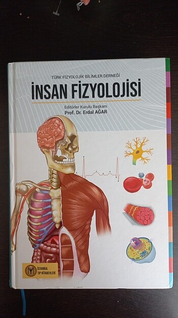 İnsan fizyolojisi