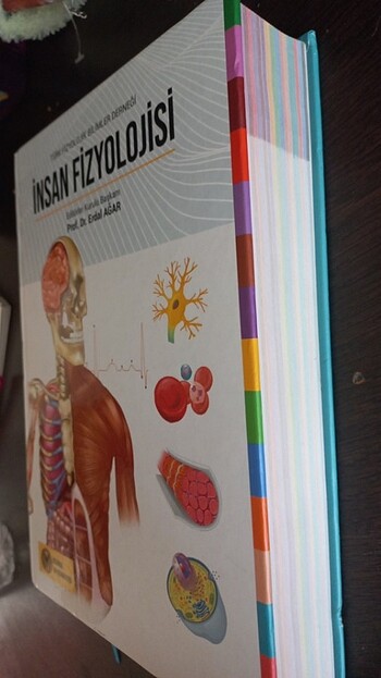  İnsan fizyolojisi