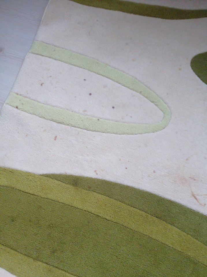 Çağdaş Stil Yeşil Desenli Halı 231 cm en 158 cm - Görsel 2