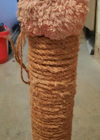 Bej Kedi Tırmalama Direği - Görsel 3