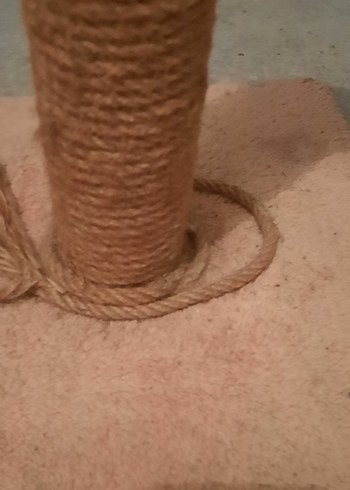 Bej Kedi Tırmalama Direği - Görsel 2