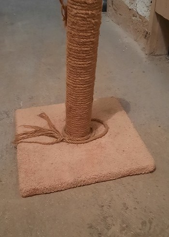 Bej Kedi Tırmalama Direği - Görsel 4