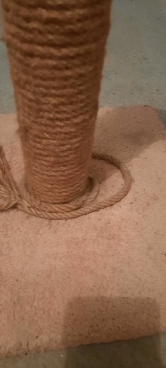 Bej Kedi Tırmalama Direği - Görsel 2